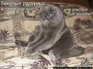   (4755_20120204215133.jpg, 66076 , : 658 )