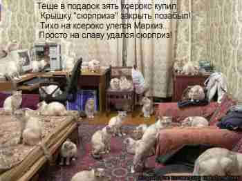   (1254394082_367699.jpg, 101833 , : 641 )