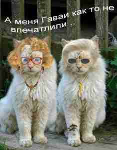   (112287671-0_46d1_168c09d6_xl.jpe, 90351 , : 539 )