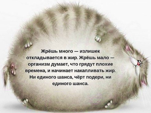   (getImage (5).jpg, 37492 , : 510 )