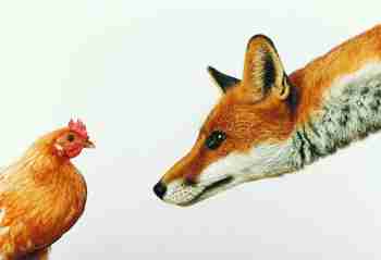   (fox-and-chicken.jpg, 67004 , : 754 )