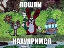   (10225375.xk.jpg, 22003 , : 527 )