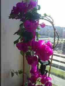   (15553-1395597285-daed11bc3c5df34, 34915 , : 667 )