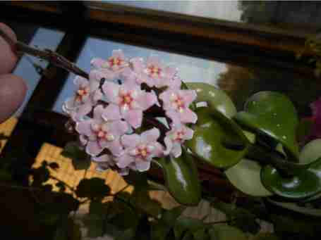   (5416fbbbb8c89_dscn1190.JPG, 23037 , : 609 )