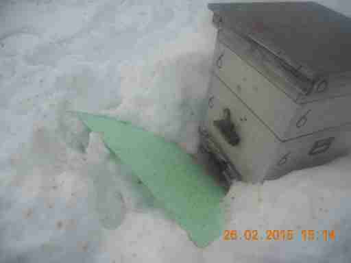   (DSCN9776.JPG, 238437 , : 575 )