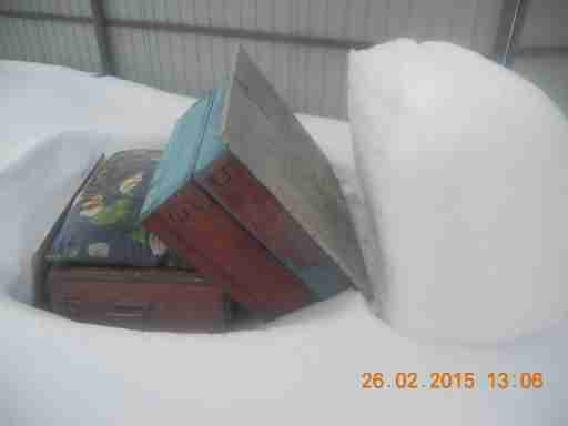   (DSCN9771.JPG, 223097 , : 576 )