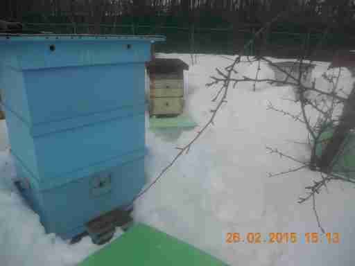   (DSCN9774.JPG, 237675 , : 561 )