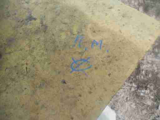   (DSCN9936.JPG, 284149 , : 544 )