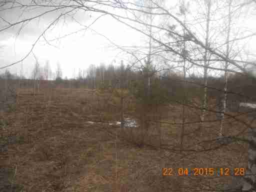   (DSCN9947.JPG, 294018 , : 557 )