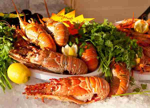   (seafood 1 use (1 of 1).jpg, 222208 , : 232 )