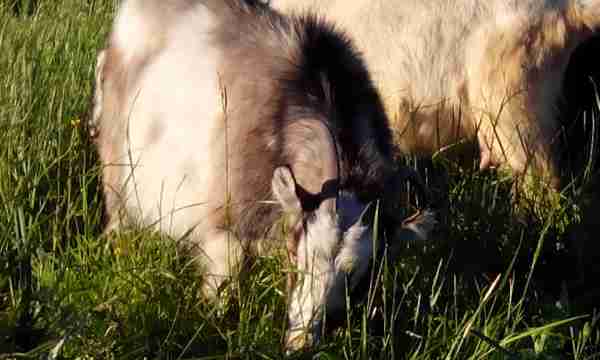   (IMG_20150606_190053.jpg, 82329 , : 566 )