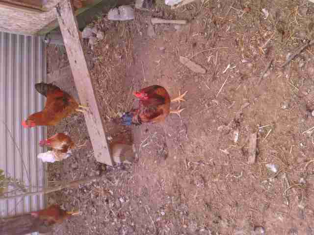   (IMG_20150828_172541.jpg, 67497 , : 463 )
