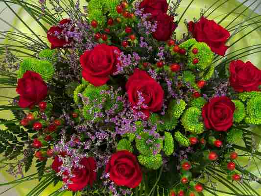   (fon_f7d9203a763b0862d66f38f22e27, 86071 , : 443 )