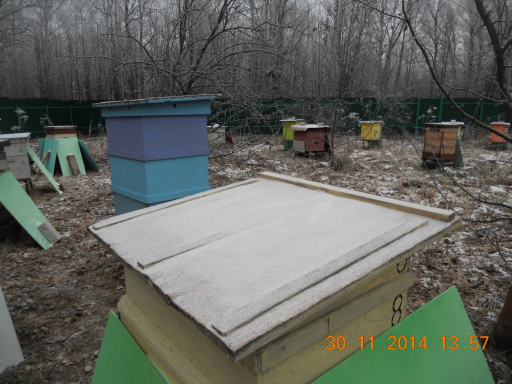   (DSCN9211.JPG, 298218 , : 680 )