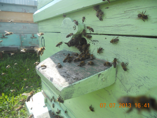   (DSCN6979.JPG, 283286 , : 666 )