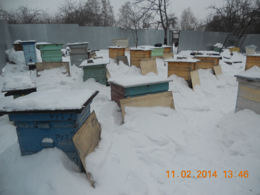   (DSCN7756.JPG, 271605 , : 611 )