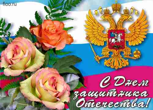   (post-33043-0-14254200-1424673245, 131964 , : 481 )