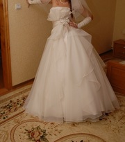  (i20111205201042-y_13c5e521_cr.jp, 11199 , : 437 )