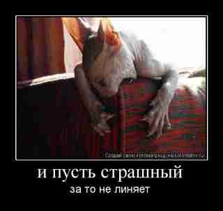   (s3img_55546277_3191_1.jpg, 49125 , : 539 )