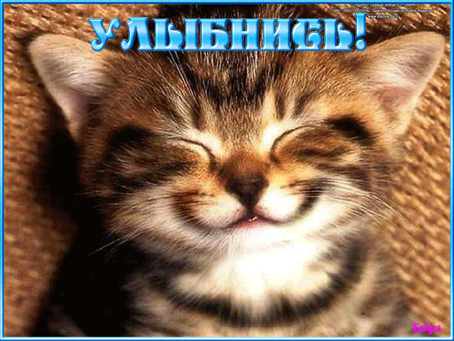   (99965856_588283150.gif, 1035835 , : 644 )