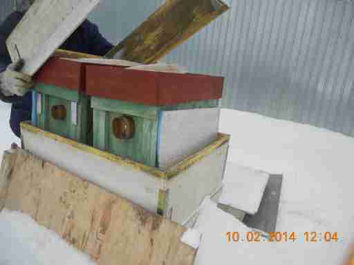   (DSCN7699.JPG, 269791 , : 555 )