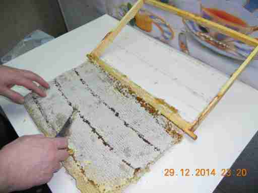   (DSCN9265.JPG, 298807 , : 592 )
