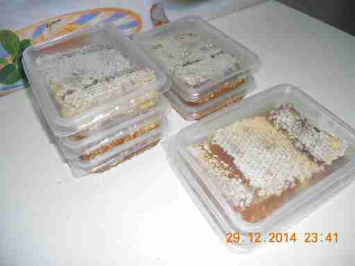   (DSCN9266.JPG, 282417 , : 538 )