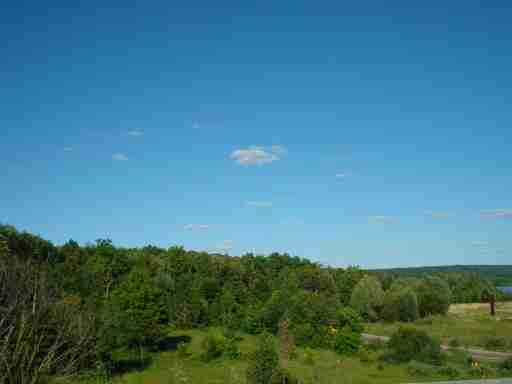   (DSC01731.JPG, 284855 , : 189 )