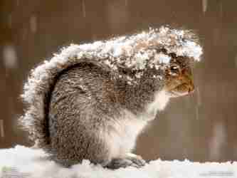   (National-Geographic-2nd-Week-in-, 65053 , : 172 )