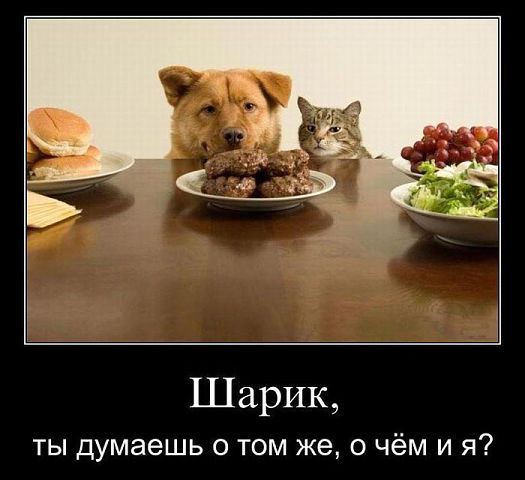   (getImage.jpg, 39971 , : 177 )