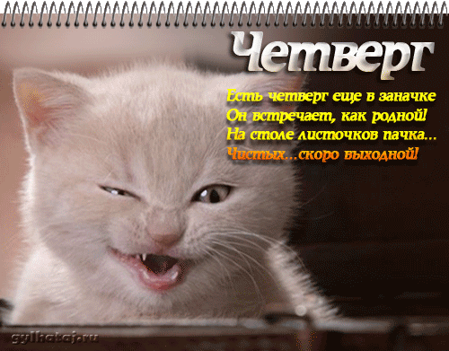   (90032394_0_852f4_564bad2c_L.gif, 298941 , : 135 )