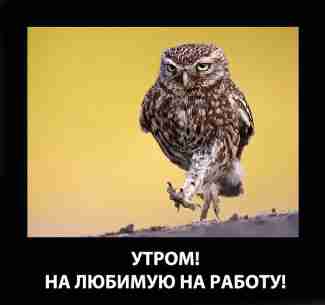   (demotivatory_14.jpg, 120069 , : 129 )