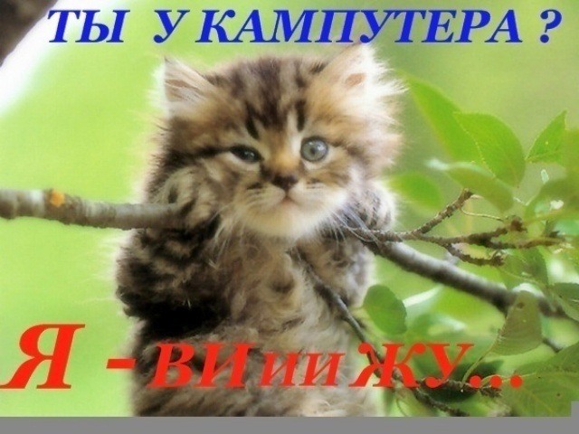   (0_79ff8_2fb35e06_XL.jpg, 73309 , : 135 )