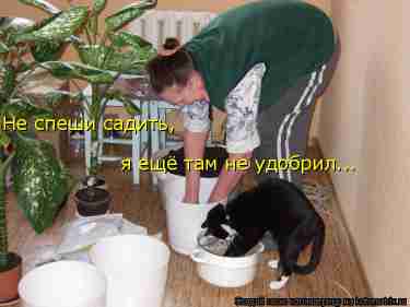   (1275557937_589941.jpg, 74794 , : 172 )