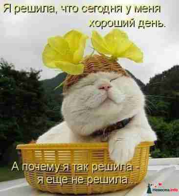   (420130x.jpg, 195386 , : 144 )