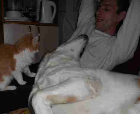   (DSCN0055.JPG, 200882 , : 497 )