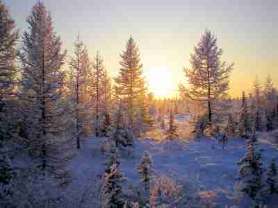   (0_5e00e_cdf1cfae_XL.jpg, 250163 , : 139 )