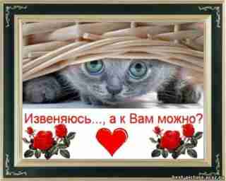   (4464105.jpg, 103283 , : 127 )