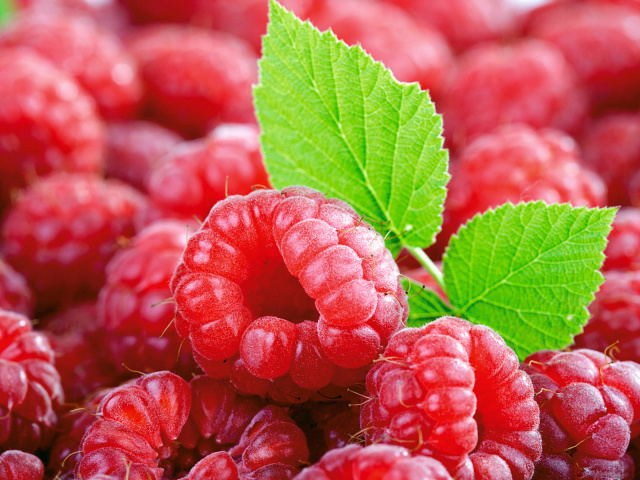   (Food_Berries_and_fruits_and_nuts, 197642 , : 133 )
