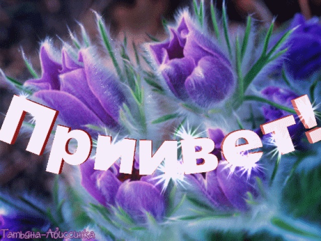   (2664f9b54adc.jpg, 131065 , : 123 )