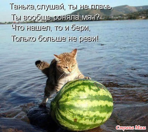   (9230976_88502thumb500.jpg, 79031 , : 118 )