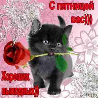   (7d864448f454.jpg, 107126 , : 130 )