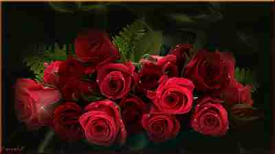   (751338150.gif, 2937930 , : 134 )
