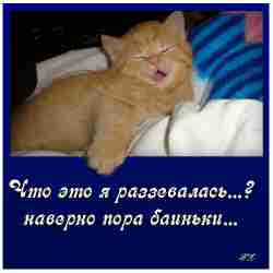   (5c75e9116197.gif, 123314 , : 234 )