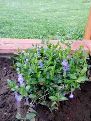   (IMG_20150517_181204.jpg, 88739 , : 236 )