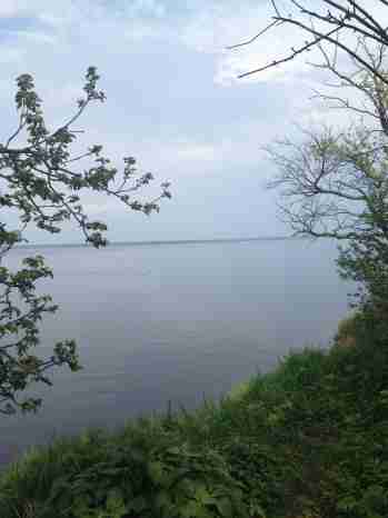   (IMG_0660.JPG, 71043 , : 236 )