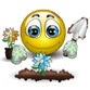  (34738017.gif, 41364 , : 234 )
