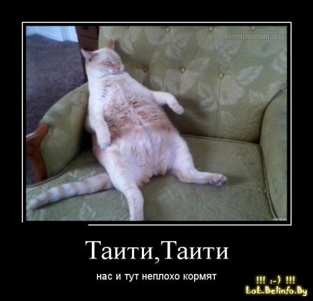   (1362283961_demotivatory_21.jpg, 31891 , : 246 )