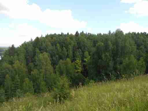   (DSCN0359.JPG, 262231 , : 499 )