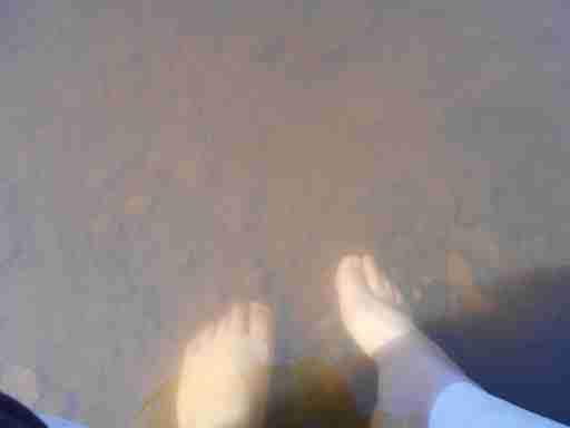   (DSCN0364.JPG, 176126 , : 589 )
